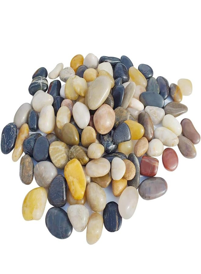 Emily Pets River Rocks for Plants 1-2 Cm Natural Decorative Stone for Indoor Pots or Vase or Outdoor Garden Landscaping Polished Mixed Pebbles for Planters (1.95kg) - Image 1